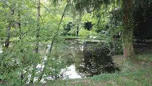 Camping Le Manoir de Bezolle - See umgeben von Bäumen auf dem Campingplatz