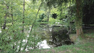 Camping Le Manoir de Bezolle - See umgeben von Bäumen auf dem Campingplatz