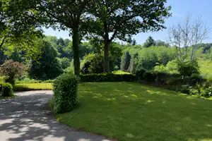Grünes Campinggrundstück mit Rasenfläche, Hecke und hohen Bäumen, dahinter bewaldete Hügel und ein Weg.