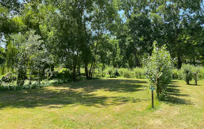 Camping Le Marais Sauvage