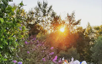 Camping le Marche & Villa ti amo