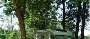 Grünes Wohnmobil im Wald zwischen hohen Bäumen, mit Dachfenster und Markise am Fahrzeug.