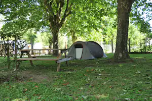 Zelt auf einem Campingplatz im Grünen, mit Holzbank und Bäumen im Hintergrund.