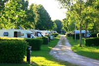 Camping le Martinet - Standplätze im Grünen auf dem Campingplatz