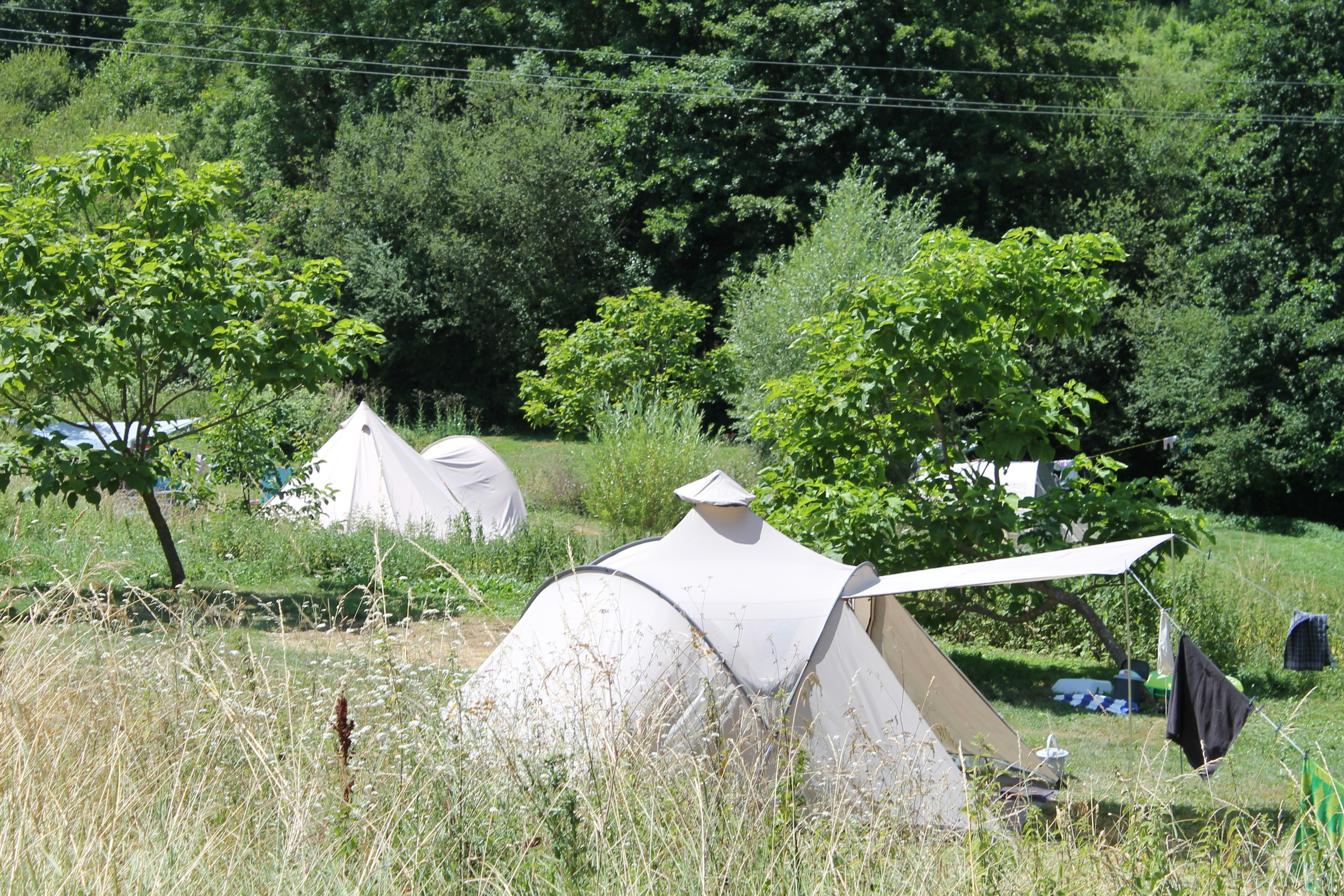 Camping Le Mas d'Ayen - Zeltwiese auf dem Campingplatz