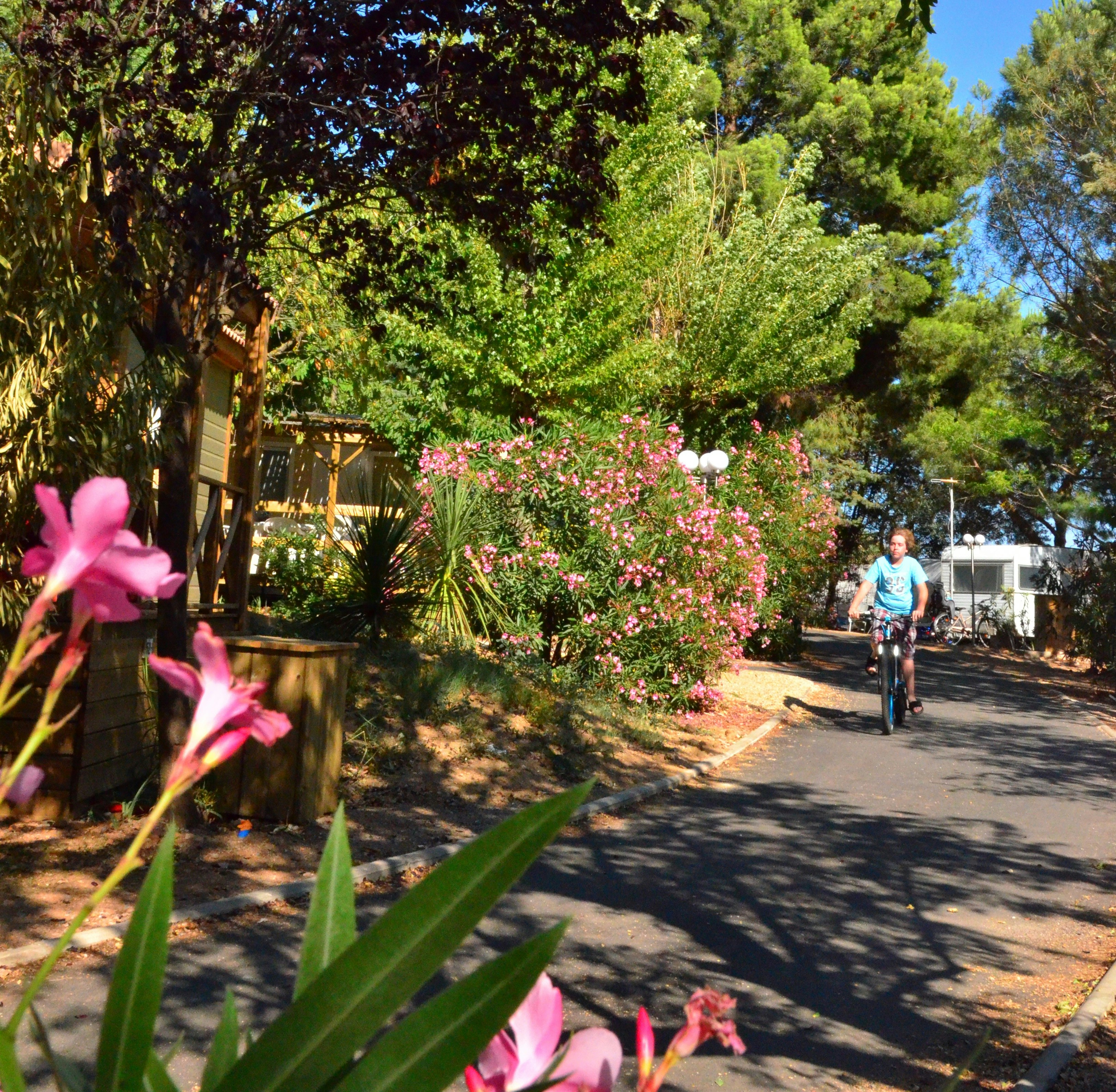 Camping Le Mas du Padre