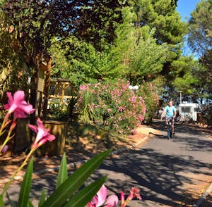 Camping Le Mas du Padre