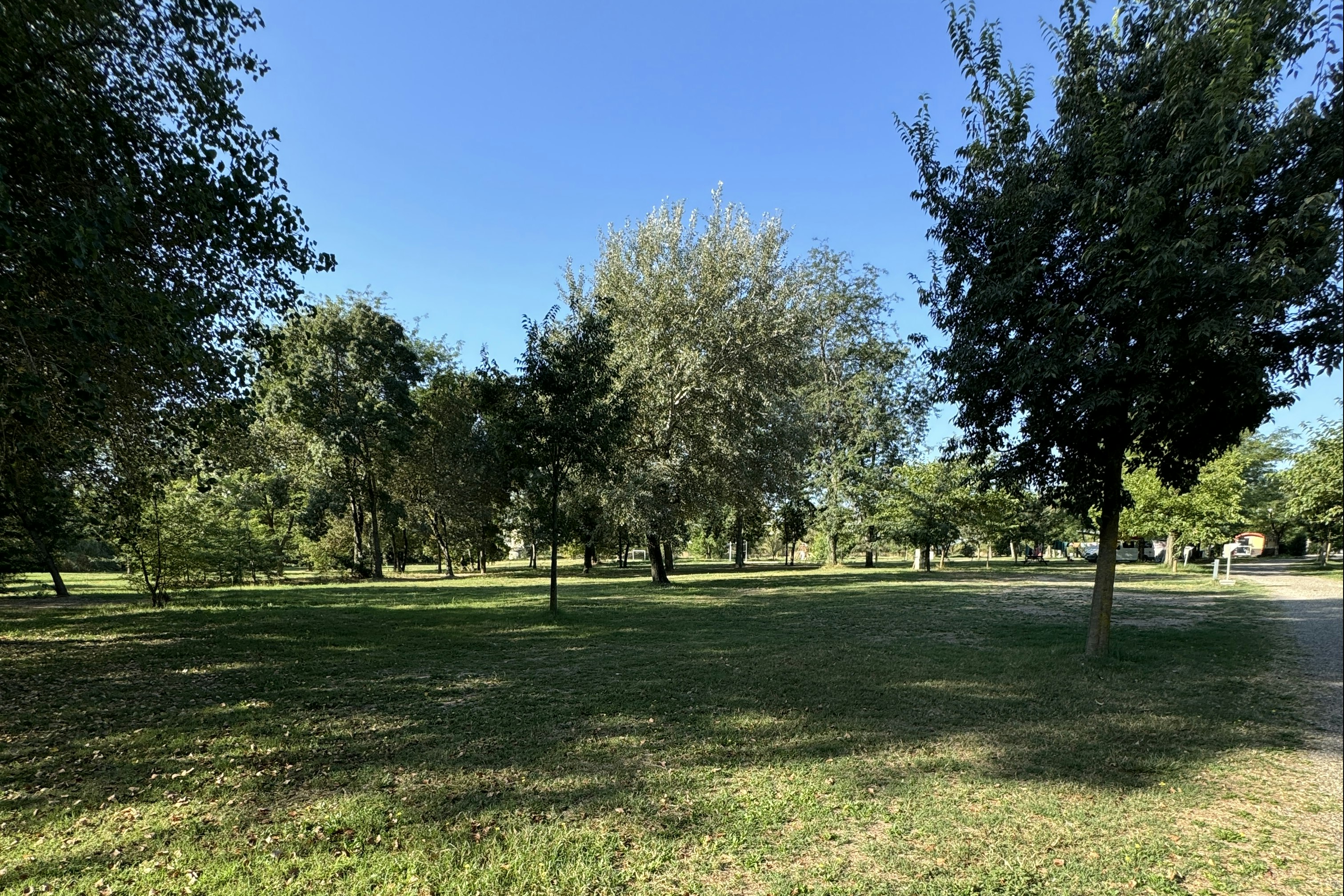 Camping Le Mas Sud Ardèche - Standplatzwiese auf dem Campingplatz