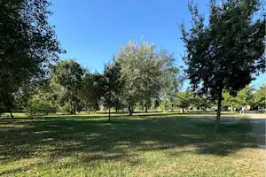Camping Le Mas Sud Ardèche - Standplatzwiese auf dem Campingplatz