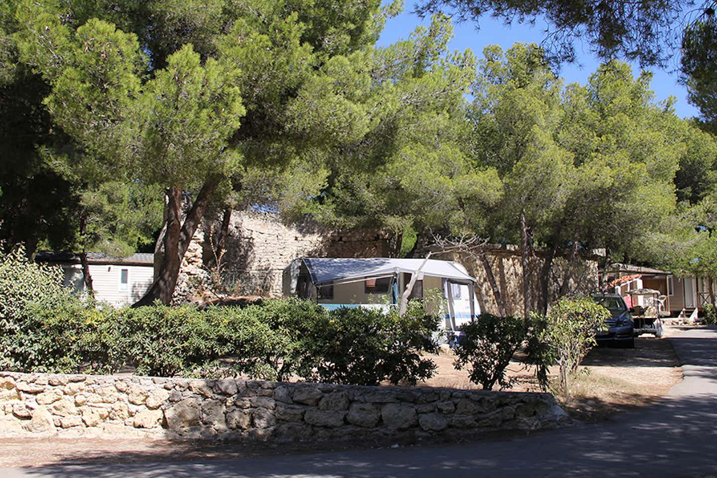 Camping Le Mas - Stellplätze an einer Strasse des Campingplatzes