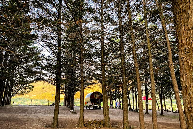 Camping Le Matin Calme - Stellplätze im Schatten der Bäume