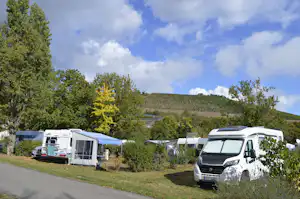 Wohnmobile und ein Vorzelt auf dem Campingplatz zwischen Bäumen, im Hintergrund Weinbergshang und blauer Himmel mit Wolken.