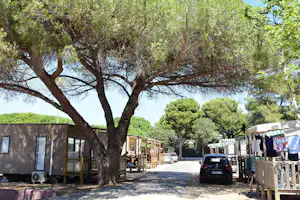 Reihen von Mobilheimen und Stellplätzen am Campingplatz, gepflasterter Weg, Auto vor einem Wohnwagen, Bäume im Vordergrund.