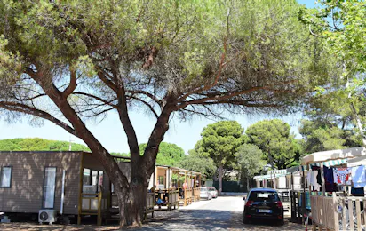 Camping Tikayan Le Méditerranée