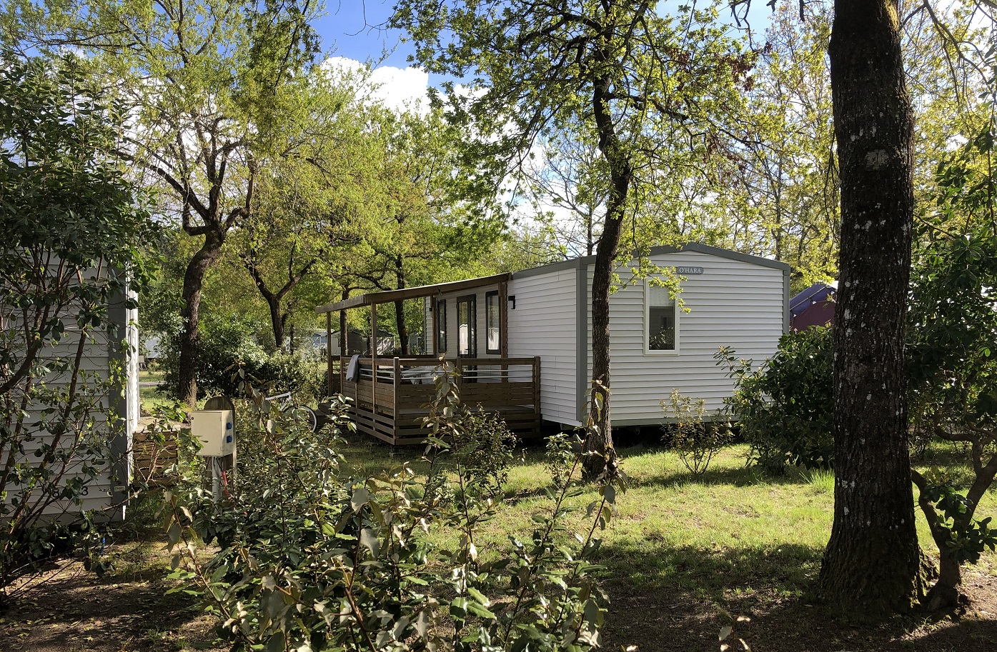 Mobilheim mit Holzterrasse im Grünen, umgeben von Bäumen und Sträuchern, im Campingplatzbereich.
