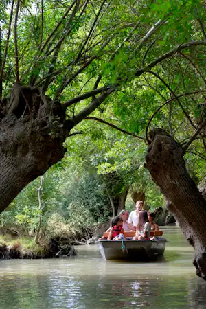 Kanu mit Familie auf dem Fluss, umgeben von großen Bäumen mit dichtem Grün am Ufer.