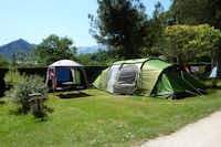 Camping Le Montagnou  - Zeltwiese auf dem Campingplatz