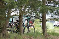 Camping Le Moulin de Cantizac -  Campingbereich für Zelte und Wohnwagen im Schatten der Bäume