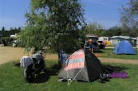 Camping Le Moulin des Oies - Zelt mit Motorrad im Schatten eines Baums auf dem Campingplatz