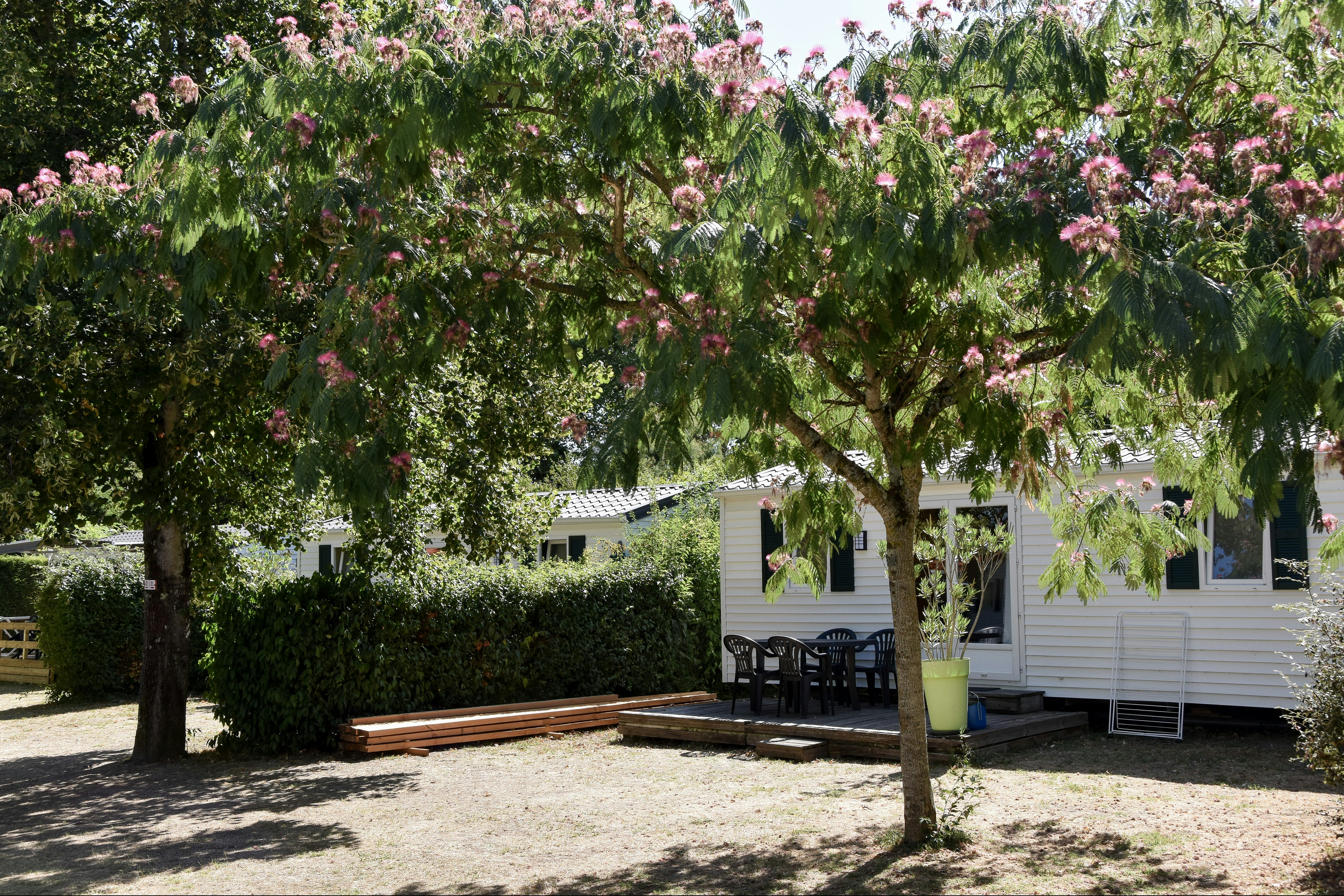 Camping Le Moulin du Roy - Mobilheim zwischen den Bäumen