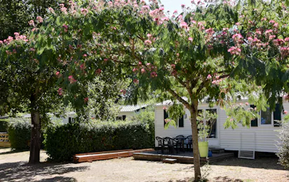 Camping Le Moulin du Roy