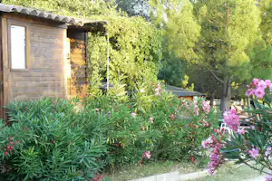 Holzhütte am Campingplatz mit Fenster, umgeben von grünem Garten, Büschen und pinken Blüten.
