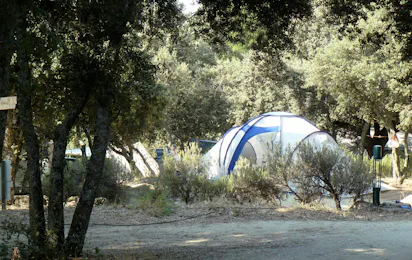 Camping Le Moulin à Vent