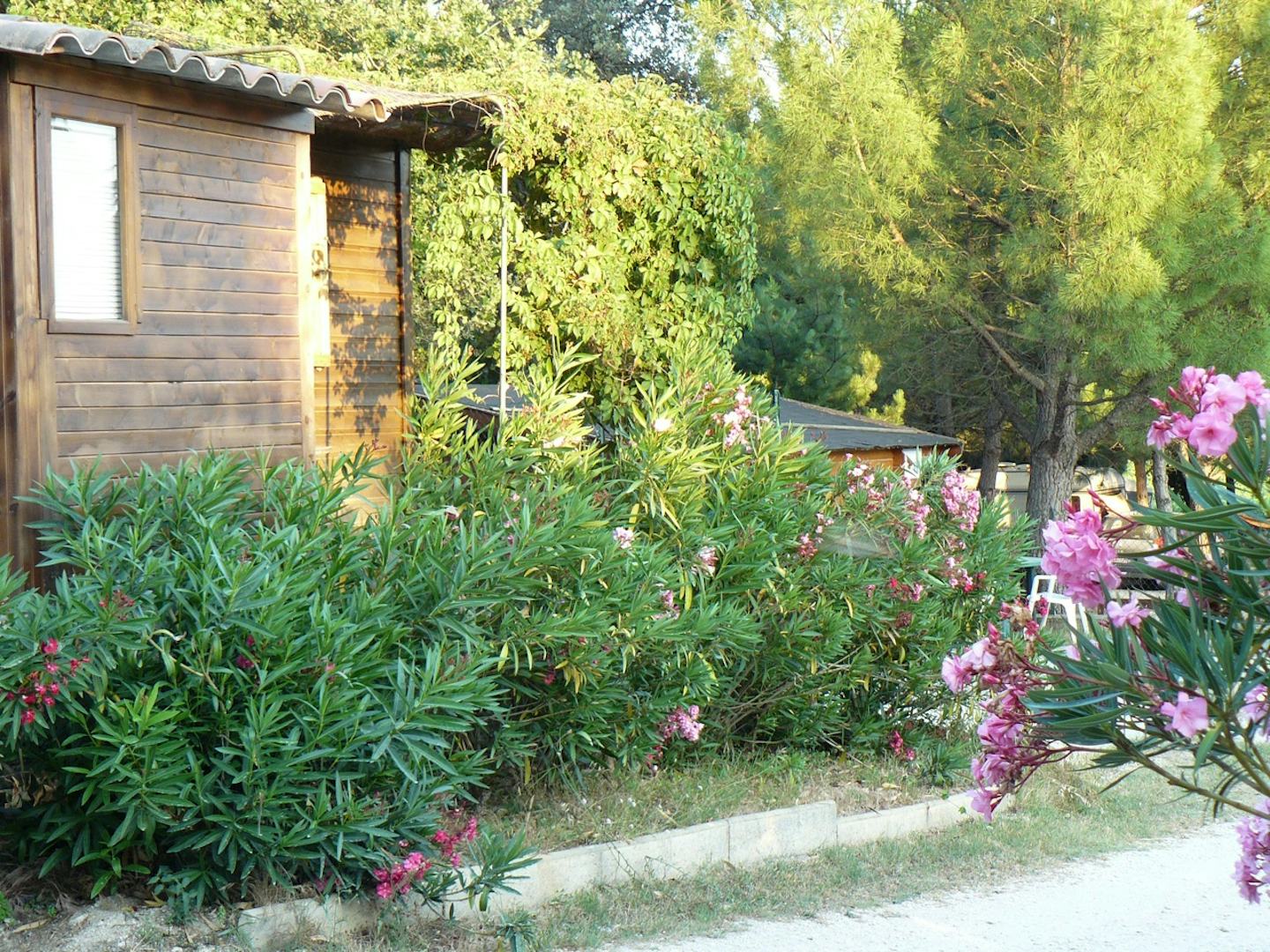 Camping Le Moulin à Vent