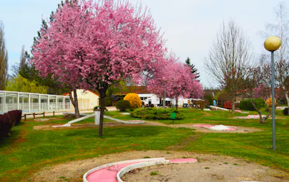 Camping Le Moulin (Andelot-Blancheville)