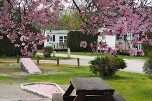 Camping Le Moulin - Picknicktisch auf der Minigolfanlage vom Campingplatz, Mobilheime im Hintergrund