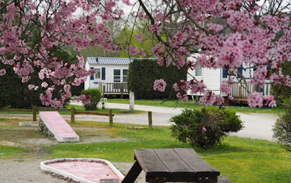 Camping Le Moulin (Andelot-Blancheville)