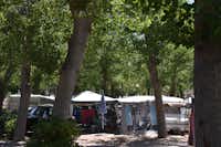 Camping Le Napoléon -  Wohnmobilstellplätze unter Bäumen auf dem Campingplatz