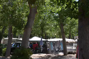Campingzelte zwischen großen Bäumen, im Hintergrund Wohnwagen und ein Tisch mit Stühlen auf dem Stellplatz.