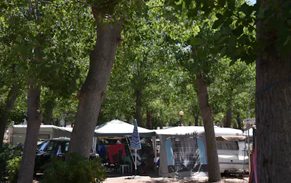 Camping Le Napoléon