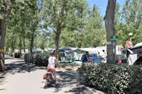 Camping Le Napoléon -  Wohnwagen- und Zeltstellplatz zwischen Bäumen auf dem Campingplatz