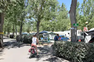 Camping Le Napoléon - Wohnwagen- und Zeltstellplatz zwischen Bäumen auf dem Campingplatz