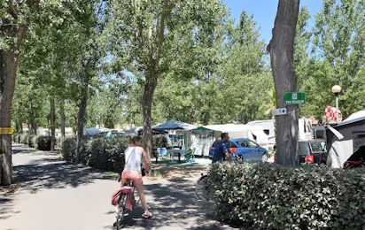 Camping Le Napoléon