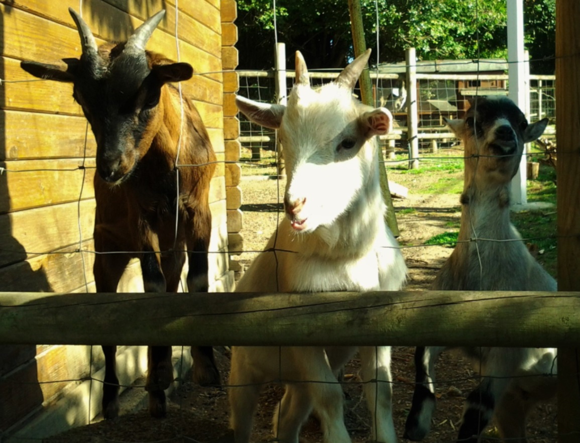 Sites Et Paysages Camping Le Neptune