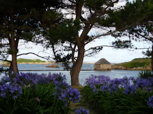 Camping Le Panoramic