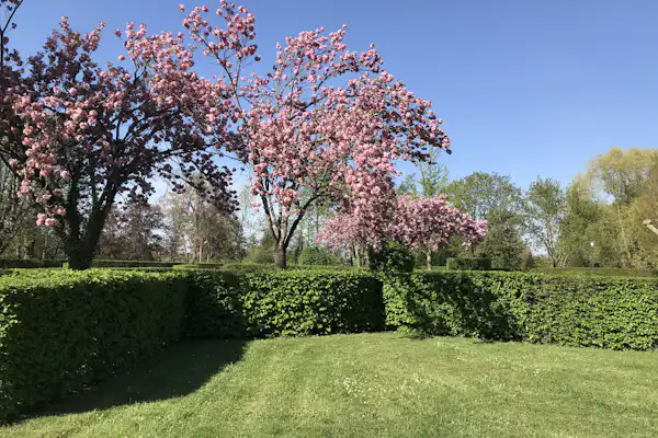 Camping Le Paquier Fané