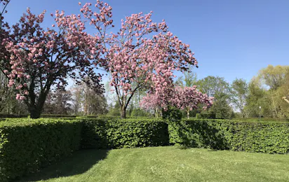 Camping Le Paquier Fané
