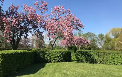 Camping Le Paquier Fané