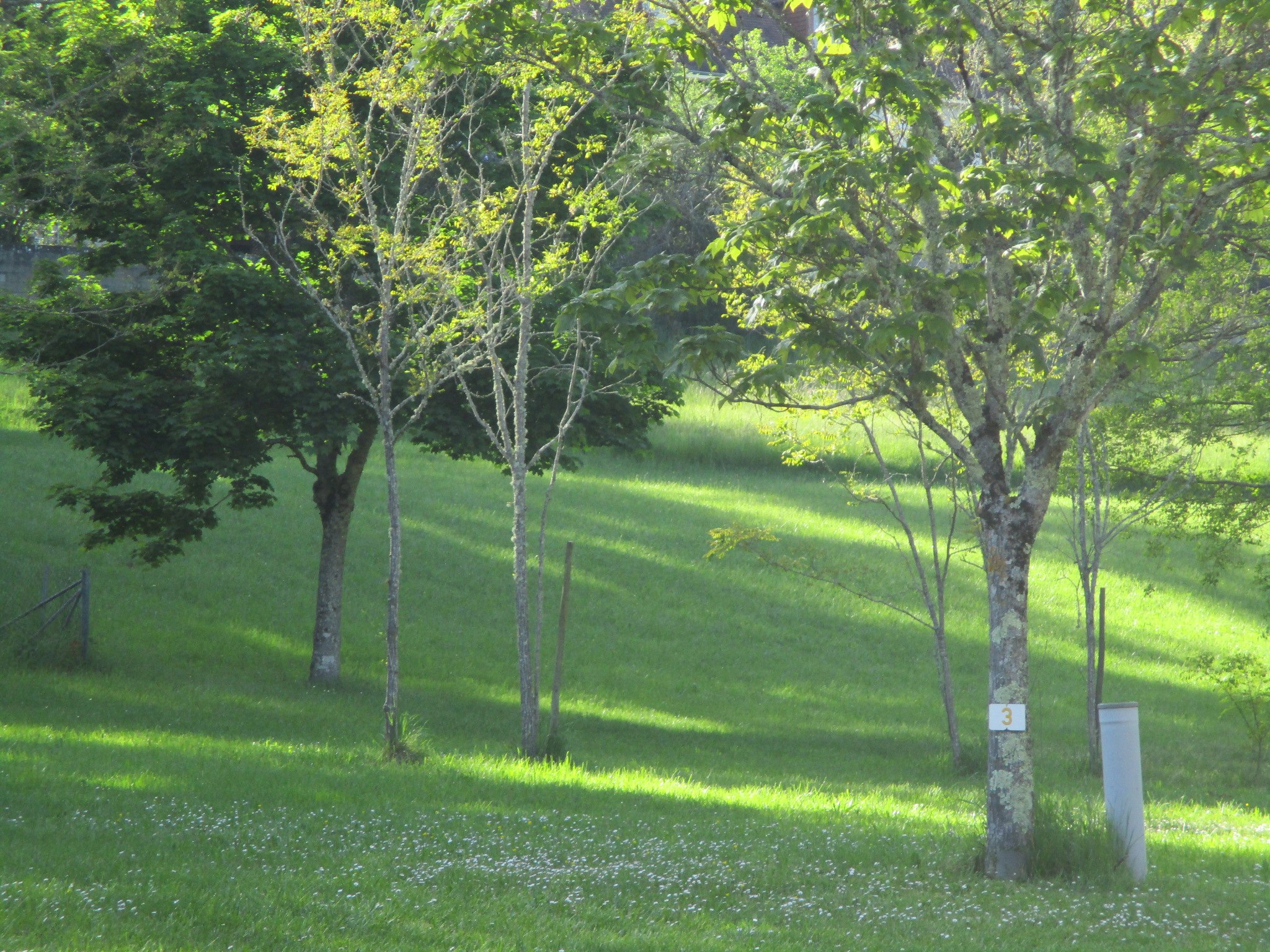 Camping Le Paradis (Gourdon)
