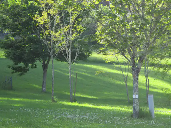 Camping Le Paradis (Gourdon)