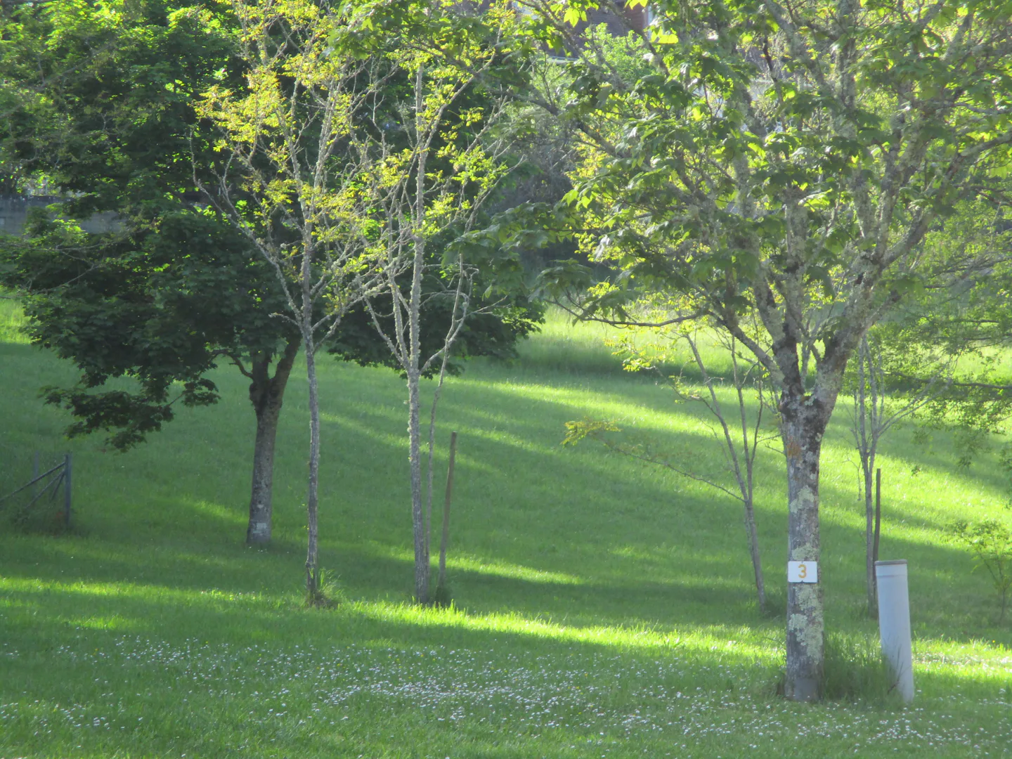 Camping Le Paradis (Gourdon)