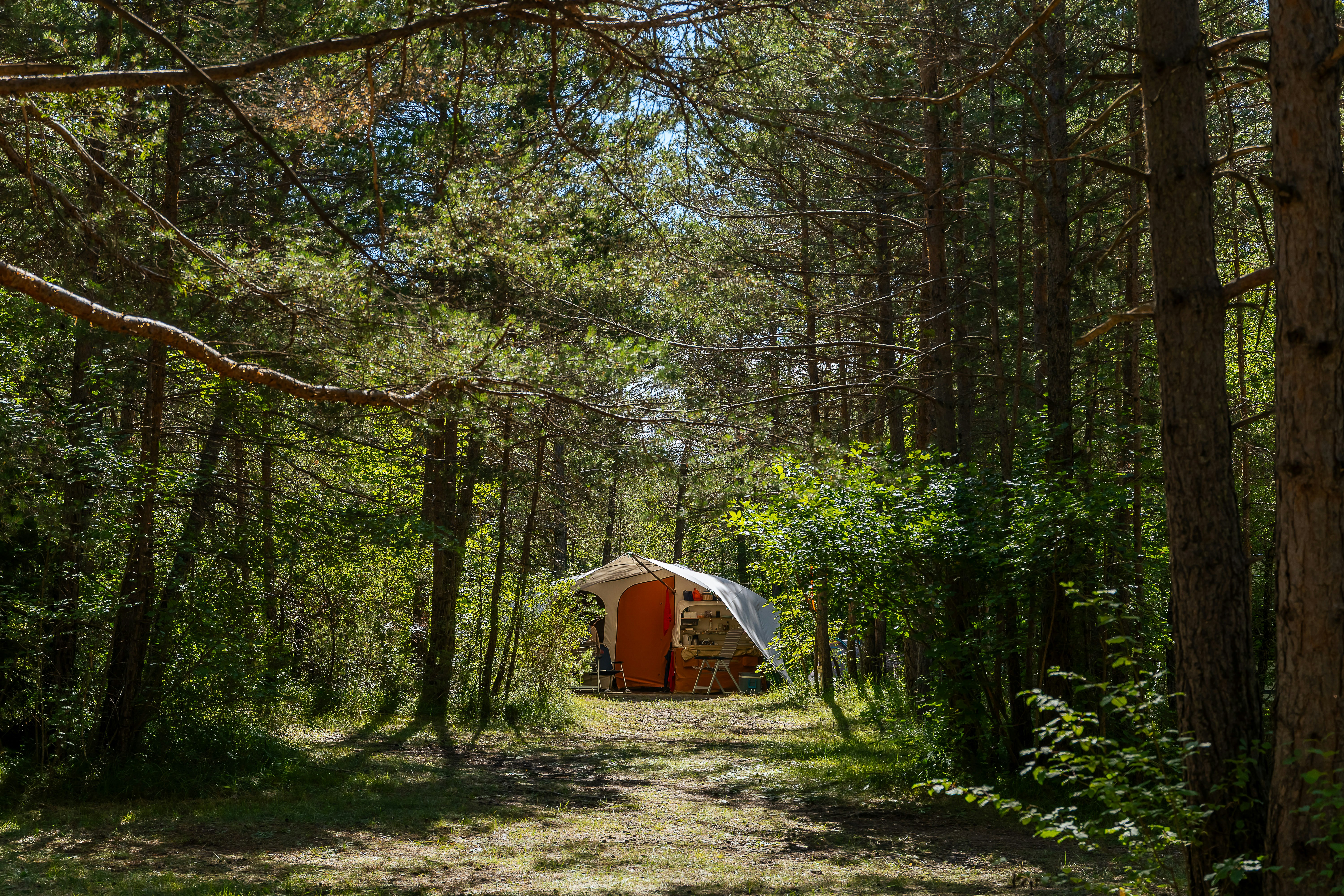 Camping Le Parc des Sérigons - Standplätze zwischen den Bäumen auf dem Campingplatz