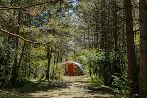 Camping Le Parc des Sérigons - Standplätze zwischen den Bäumen auf dem Campingplatz