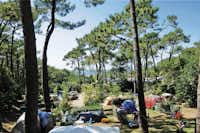 Camping Le Pavillon Royal - Zeltplätze im Schatten der Bäume auf dem Campingplatz