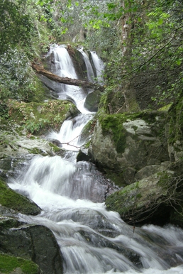 Camping Paradis Pearl