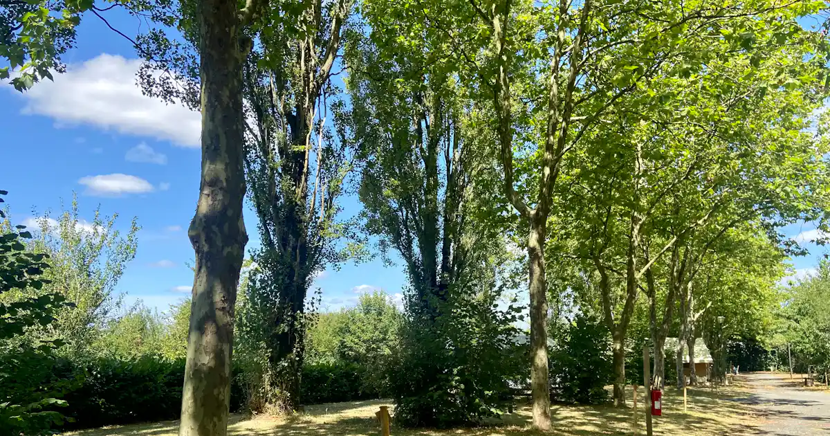 Onlycamp le Petit Bocage photo 4